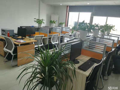 義烏新碩網(wǎng)絡(luò)科技