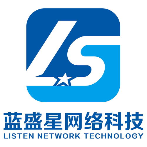 合肥藍(lán)盛星網(wǎng)絡(luò)科技 創(chuàng)新驅(qū)動(dòng)，引領(lǐng)數(shù)字化未來(lái)